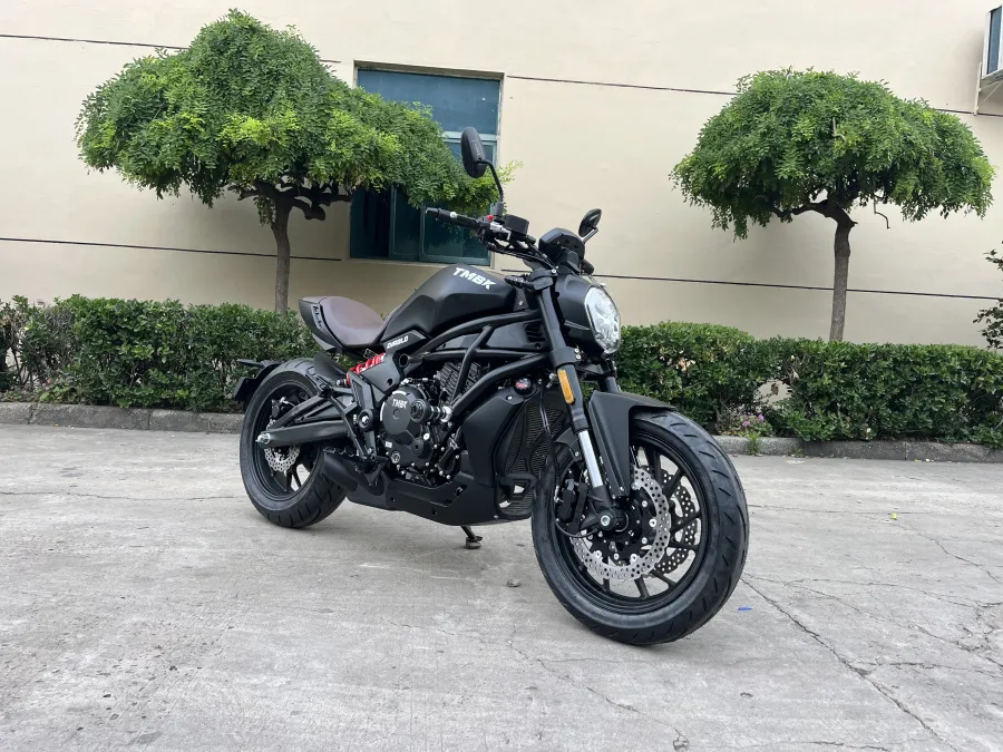 Мотоцикл TMBK Diablo 650cc EFI, ABS